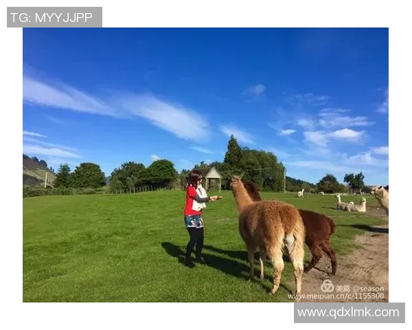 足球明星与大熊猫亲密接触展现友谊与自然之美的奇妙瞬间