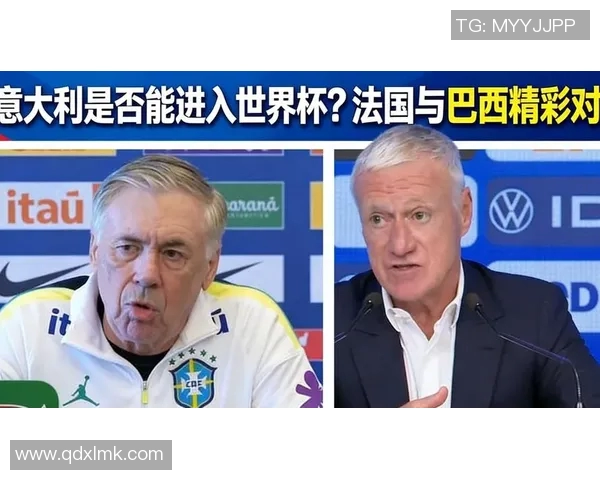 法国与意大利足球对决全景回顾精彩瞬间与战术分析